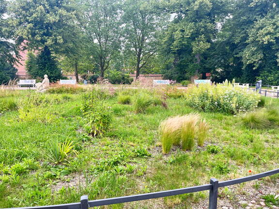 24-06-28 10-51-24 9971